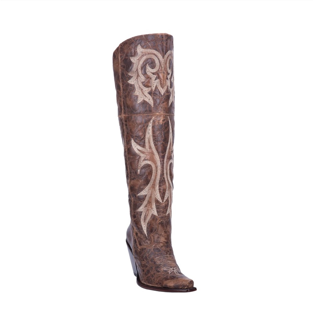 Dan Post Boots